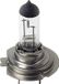 Lampa Autolampen H7 12V 55W
