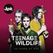 Teenage Ash Teenage Wildlife - 25 Years Of Ash LP Anniversary Edition