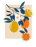 Komar Muurafbeelding - Illustratie Finest Fruits - Grootte: 30 x 40 cm - Poster, Kunstdruk, Decoratie, Woonkamer, Slaapkamer
