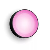 Philips Hue Daylo Outdoor Wall Light - Black - LED - Color Ambiance