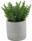 Countryfield Kunstplant Thijm in Grijs Cement Potje - 19 cm