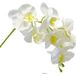 Orchidée Tao Factice H105 cm 8 fleurettes 5 boutons Qualité Pro Crème - Couleur: Crème