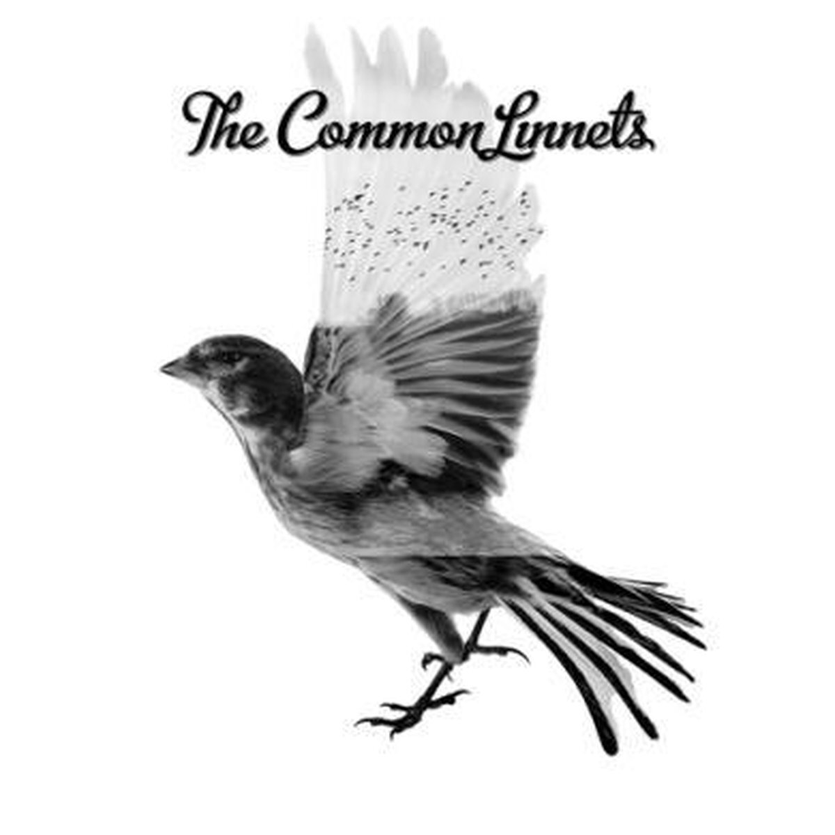 UNIVERSAL MUSIC B.V. The Common Linnets Deluxe Edition