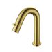Boss & Wessing BWS Fonteinkraan Colorato 19.5cm Geborsteld Goud