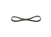 BOSCH Keilrippenriemen 1987948483
