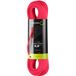 Edelrid Corde d'escalade Edelrid Canary Pro Dry