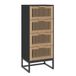 vidaXL Hoge kast, zwart, 40x30x95 cm, houtvezel