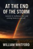 At Bol At the End of The Storm E-book