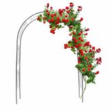 Relaxdays Rozenboog - Metaal - Donkergroen - 233 cm