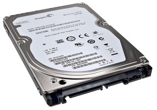 Seagate Momentus ST9500423AS