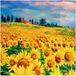 PAW Lunch servetten Painted Sunflowers - 33x33 cm