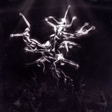Bertus Distributie Lisa Gerrard The Silver Tree