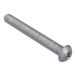 Schroef Piaggio Schroef, M8x65 mm, 841023