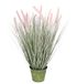 Kunstgras Kunstvossenstaartgras in zinkpot, gras, kunstplant, kunstgras, siergras, siergras, groene planten, siergras, siergras, solitair gras, decoratie, grasarangement, borstelgierst, Panicoideae zoetgrassen