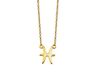 Jwls4u BV Vissen Ketting Gold-plated Zodiac ZN003G