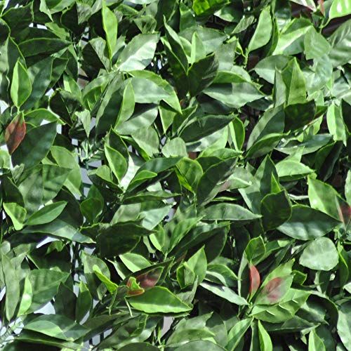 Tenax Divy 3D Plus Photinia - Synthetische Heggen - 1,00 x 3 m