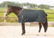 Harry's Horse Thor 200gr Couverture de pluie Gris - 75/105
