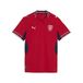 PUMA Tsjechië 2026 thuisshirt voor Dames, Blauw, Maat XL