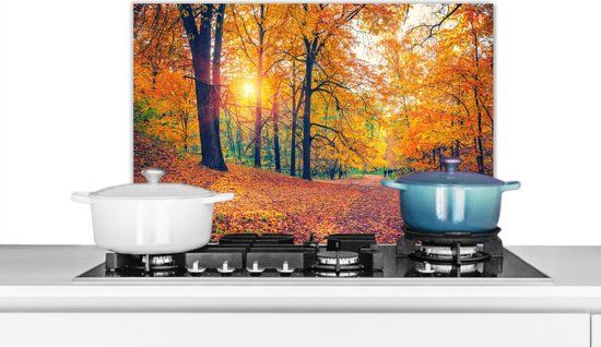 KitchenYeah Spatscherm keuken 70x50 cm - Bomen - Herfst - Bos - Aluminium