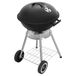 Fieldmann FZG 1009 Egg Grill à charbon Noir, Acier inoxydable