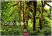 Regenwald Casares Fine Art Edition Regenwald Kalender 2027 - Wandkalender | Fotokalender Naturkalender 35x50cm | Wunderschöne Fotos tropischer Wälder und Landschaften
