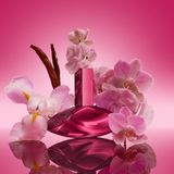Calvin Klein EDP / 100 ml / Vrouwen