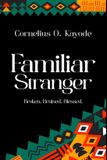 Familiar Stranger: Broken Bruised Blessed Paperback