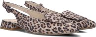Paul Green 6090 Hakken Dames - Bruin - Maat 38