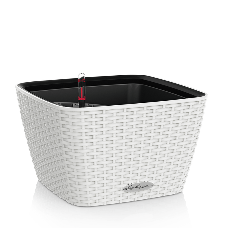 Lechuza BACINO Cottage 30 - 15450 - Pot - kunststof - 4008789154507