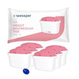 Wessper Waterfilterpatroon voor karaf, magnesiumfilter, extra pinnen compatibel met Brita filterkaraf, reservecartridge Dafi, Wessper, Aquaphor, 6 stuks