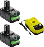 Ryobi Batterie-wissel, 8000 mAh capaciteit, lithium-ion, compatibel met Ryobi, 2x 8.0 Ah, inclusief oplader