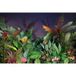 Papier peint panoramique plantes tropicales 325 cm x 217 cm