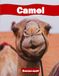 Camel: A Beautiful Coffee Table Collection of Animal Photography