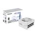 GIGABYTE AORUS ELITE P1000W - Voeding - 1000 W - 80 Plus Platinum - Modulair - Wit