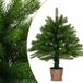 vidaXL Kunstkerstboom met levensechte naalden 65 cm groen