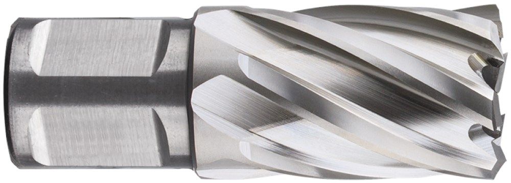 Rotec HSS Kernboor SILVER-LINE, weldon 19, ø38x30 - 536.3800W