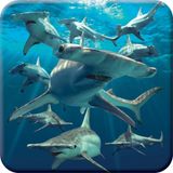Ajuny 3D LiveLife Tapis en liège - Hammerhead Shark