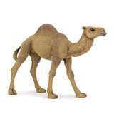 Papo Dromedary figuur, meerkleurig, 50151