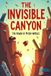 The Invisible Canyon: The Power of Micro-Nudges to Carve a Monumental Future