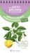 Aromathérapie pour les petits de 3 mois à 6 ans: Huiles essentielles et hydrolats
