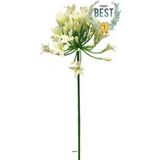 Agapanthe Artificielle En Tige H75cm, Grande Tête D14cm Crème