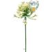 Agapanthe Artificielle En Tige H75cm, Grande Tête D14cm Crème