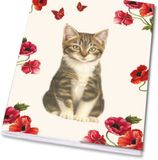 Bekking & Blitz Schrift A5: Franciens Kittens & Poppies, Francien van Westering
