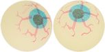 Smiffys R.H. Smith & Sons Wig Makers Ltd 2x Glow in the dark oogballen