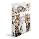 HERMA Ringmappen A4 kattenset, 3 stuks, smal, 4 ringen, 35 mm breed, kinderringmap met diermotief, kleurrijke map met binnendruk, voor jongens en meisjes