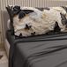 PETTI Artigiani Italiani - Beddengoed van katoen met kussenslopen met digitale print, beddengoed voor Frans bed, Mariposa-05, 100% Made in Italy