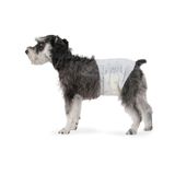 Amazon Basics Hondenluier voor reuen, wegwerpluiers, medium (verpakking van 30), wit