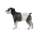 Amazon Basics Hondenluier voor reuen, wegwerpluiers, medium (verpakking van 30), wit