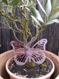 Edelrost butterfly Anette with stripes