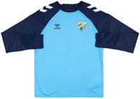 Hummel T-shirt Pro L bleu azur/marine